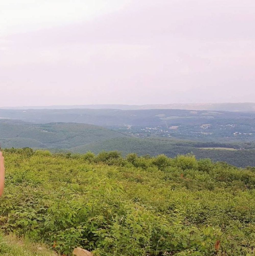 Meet your Posher, Dana